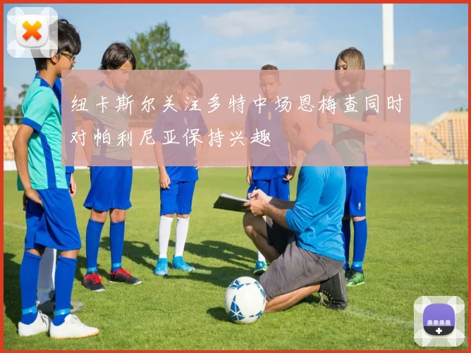 纽卡斯尔关注多特中场恩梅查同时对帕利尼亚保持兴趣